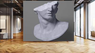 3D rendering illustration of a broken marble fragment of head sculpture in classical style in monochromatic grey tones isolated on greyscale shadow background.  Wall mural