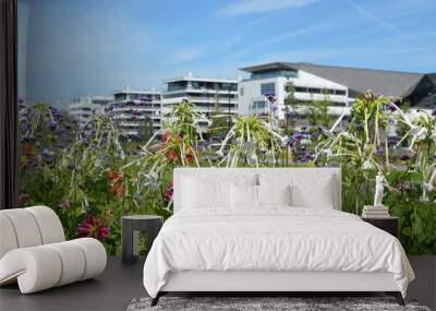 White residential buildings at the background with colorful fresh flowers in the foreground - environmentally friendly green city concept Wall mural