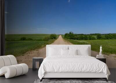 a country road in the countryside through fields with plants Wall mural