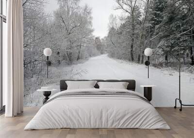 the winter road   Wall mural