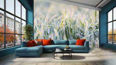 wheat during frost   Wall mural