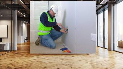 An electrician installing an electrical socket Wall mural