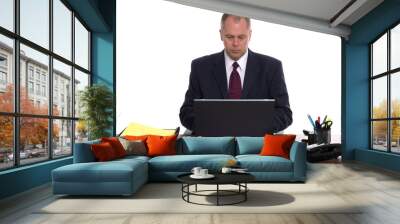 Businessman on a laptop Wall mural