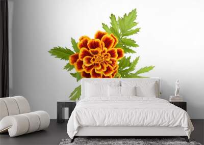 marigold ariel view Wall mural