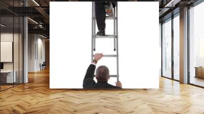 two businessmen on a ladder Wall mural