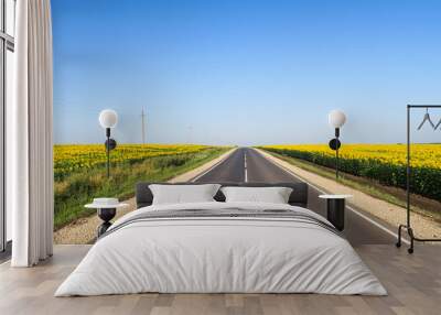 New asphalt road surface on the background of green and yellow fields to the horizon. The construction site for the road works. Highway on the background of a rural landscape         Wall mural