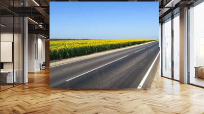 New asphalt road surface on the background of green and yellow fields to the horizon. The construction site for the road works. Highway on the background of a rural landscape         Wall mural