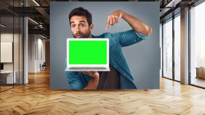 Man, laptop and pointing on mockup green screen for advertising or marketing against a grey studio background. Portrait of male person showing computer display, chromakey or mock up for advertisement Wall mural