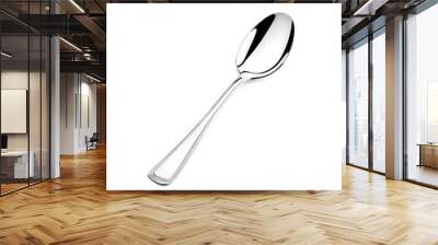 Detailed Stainless Steel Ladle Against White Background Wall mural