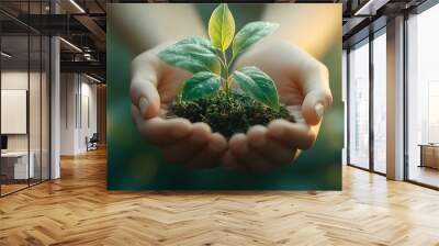 Hands Holding Sustainable Plant Growth on Green Background Wall mural