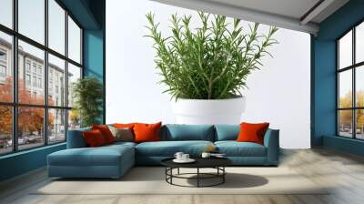 Rosemary Plant in a White Pot on a White Background Wall mural