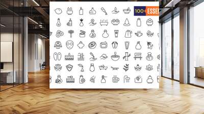 Essential oils icons set. Set of oils vector icons for web design isolated icon collection. Outline icon collection. Editable stroke. Wall mural