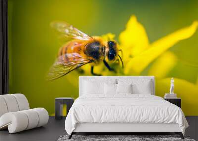 Bee Pollinating On Yellow Flower Wall mural