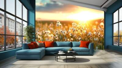 Beautiful field of wildflowers at sunset. Wall mural