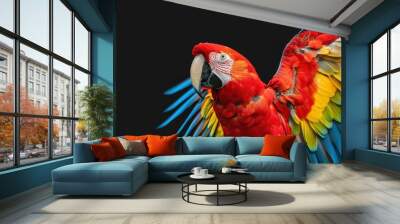 A parrot with vivid feathers isolated on a transparent background. Wall mural