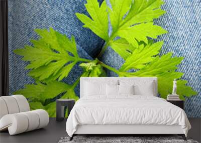 Green bright fresh leaves on denim background. Spring flower with copy space Wall mural