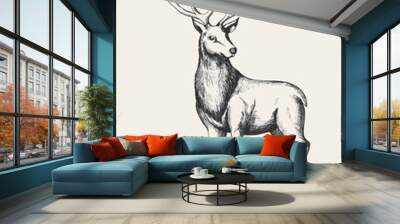 Sketch illustration of a reindeer Wall mural