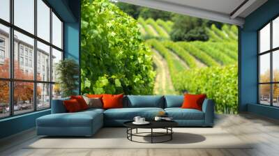 green trees in a garden winery Wall mural