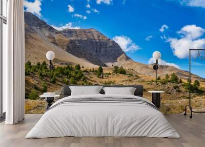 French alps, Col de Vars in the Mercantour National park, Provence Alpes, France Wall mural