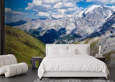 Italy, Stelvio National Park. Famous road to Stelvio Pass in Ortler Alps. Wall mural