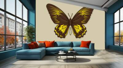 Butterfly troides cuneifera concept. Colorful and bright insect with wings. Spring and summer season wildlife and fauna. Cartoon flat vector illustration isolated on beige background Wall mural