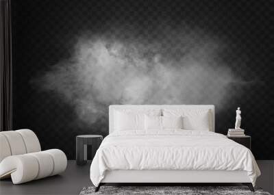 Vector realistic isolated smoke effect for decoration and covering on the transparent background. Wall mural