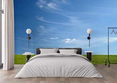 blue sky and green grass for successful advertisement Wall mural