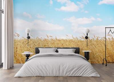 golden wheat field Wall mural