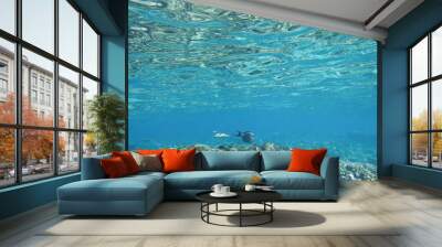 Underwater background Wall mural