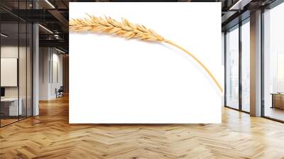 wheat ear Wall mural