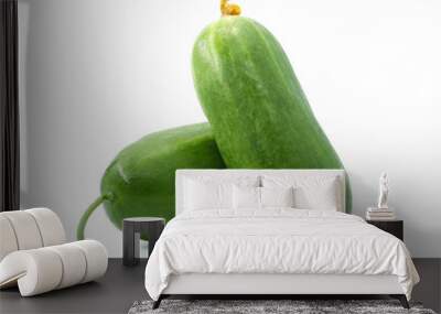 two cucumbers vegetables white background Wall mural