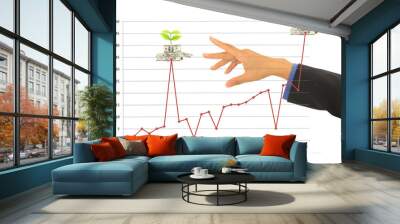 dollar money and busines with graphs. Wall mural