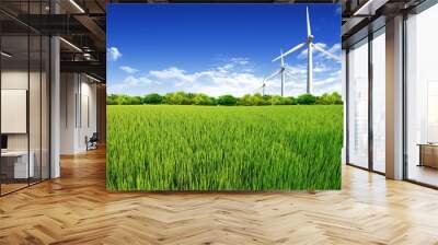 green grass field and blue cloudy sky background Wall mural