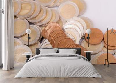 euro coins Wall mural