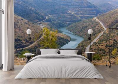 Foz Coa. Douro Wall mural