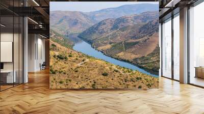 Foz Coa. Douro Wall mural