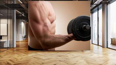 Standing Bicep Dumbbell Curl Wall mural