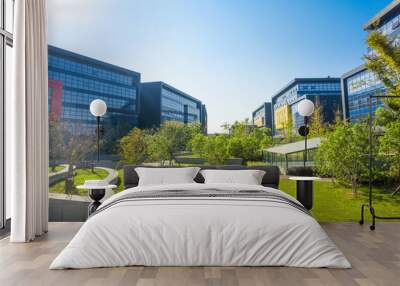 cityscape and skyline of Shenzhen from meadow in park Wall mural