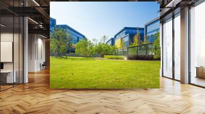 green grass field in big city park Wall mural