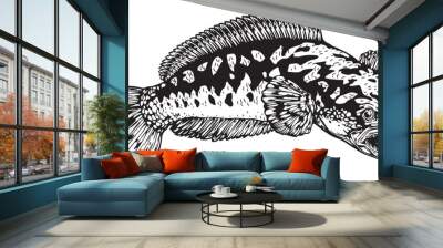 
Black white Snakehead fish channa. Image for logo, sticker or shirt design, illustration vector cartoon EPS10. Wall mural