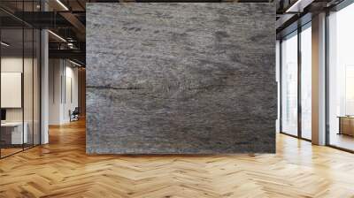 Old wood natural texture pattern background. Wall mural