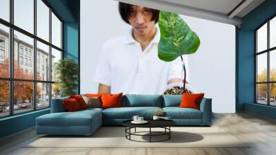 The man show Philodendron Red Emerald / Philodendron Stawberry shake Wall mural