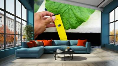 Use Ph meter check the Ph value of water of hydroponic system Wall mural