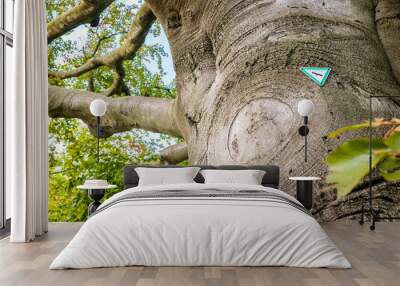 Natural monument tree with official german sign -Naturdenkmal- - Old tree in Germany with official marker that highlighted his value for nature and culture Wall mural