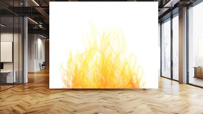 Realistic fire illustration.Flames isolated on white background Wall mural