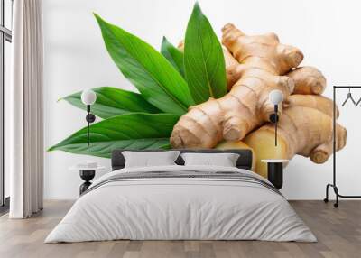 Fresh ginger root with green leaves isolated on a white background  Wall mural