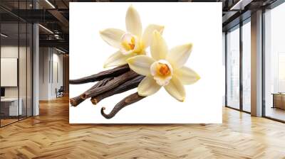 Vanilla flower pods and sticks isolated on a white background Wall mural