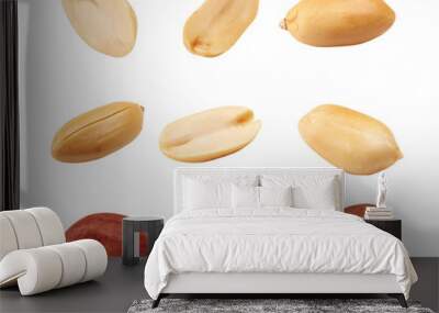 Collection of peanuts isolated on white background Wall mural