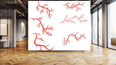 humans arteries and veins Wall mural