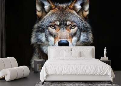 gray wolf portrait Wall mural